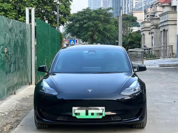 Model 3 2022 Model Rear-wheel drive version – фото 2