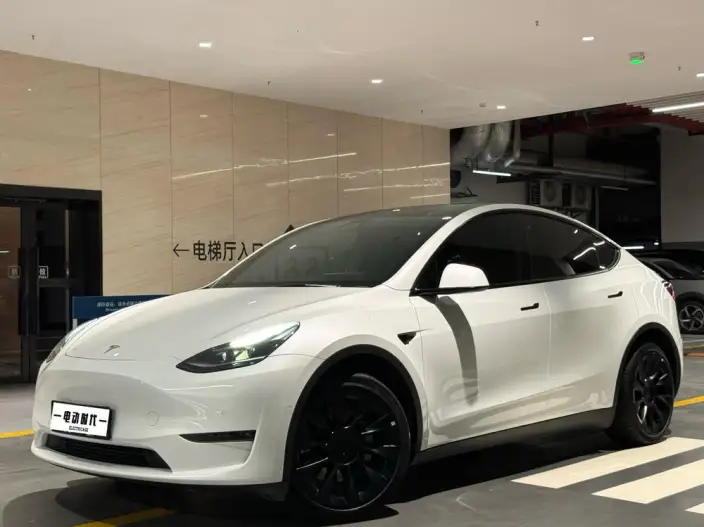 Model Y 2023 Model Long Battery Life Pro All-wheel drive version – фото 1