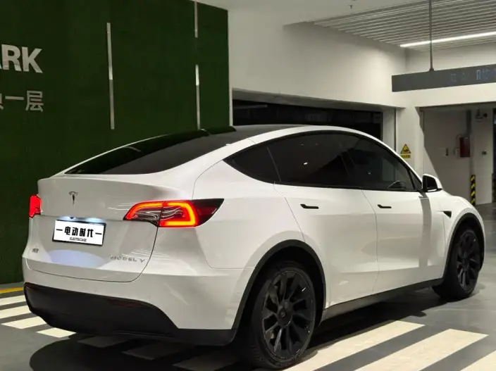 Model Y 2023 Model Long Battery Life Pro All-wheel drive version – фото 6