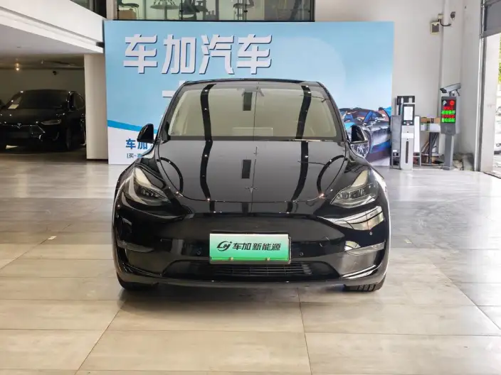 Model Y 2021 Model Standard Battery Life Rear-wheel drive version – фото 2
