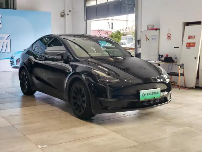 Model Y 2021 Model Standard Battery Life Rear-wheel drive version – фото 3