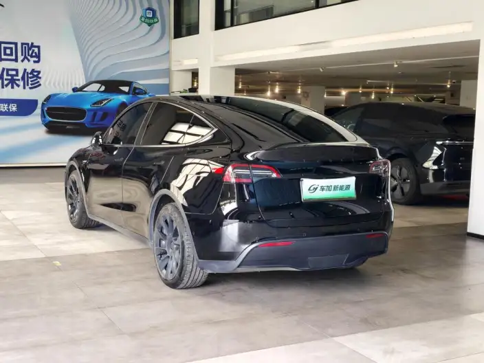 Model Y 2021 Model Standard Battery Life Rear-wheel drive version – фото 4