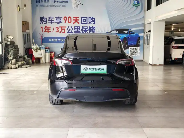 Model Y 2021 Model Standard Battery Life Rear-wheel drive version – фото 5