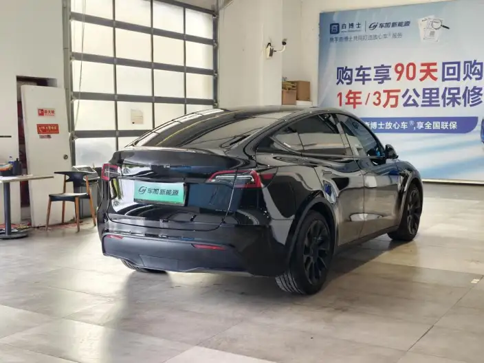 Model Y 2021 Model Standard Battery Life Rear-wheel drive version – фото 6