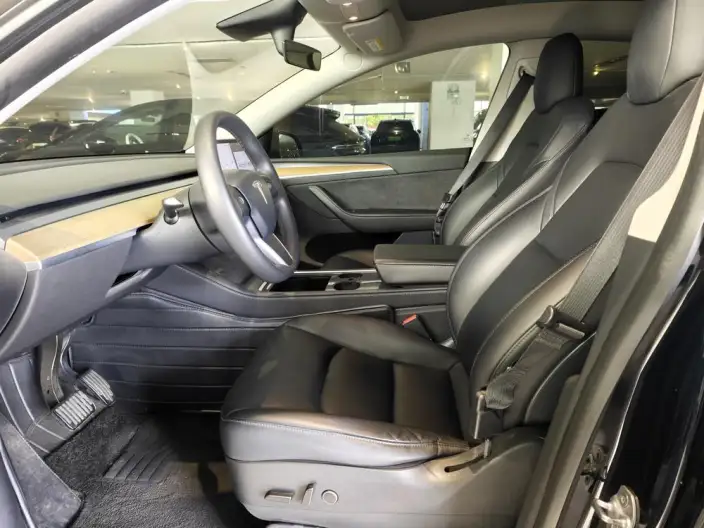 Model Y 2021 Model Standard Battery Life Rear-wheel drive version – фото 8