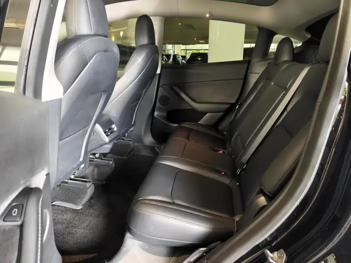 Model Y 2021 Model Standard Battery Life Rear-wheel drive version – фото 9