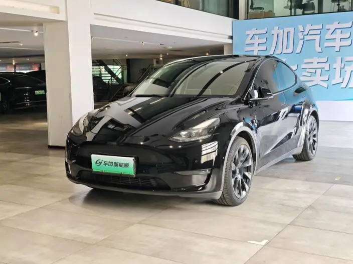 Model Y 2021 Model Standard Battery Life Rear-wheel drive version – фото 10