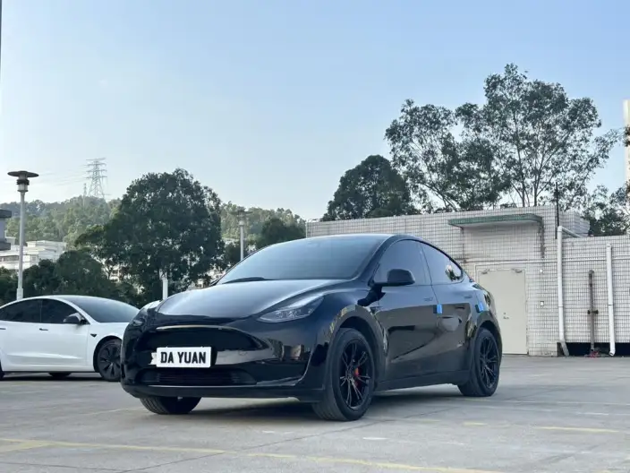 Model Y 2024 Model Rear-wheel drive version – фото 1