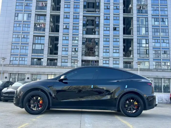 Model Y 2024 Model Rear-wheel drive version – фото 3