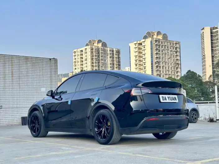 Model Y 2024 Model Rear-wheel drive version – фото 4