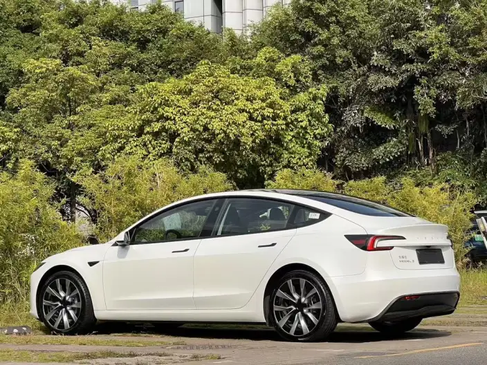Model 3 2023 Model Rear-wheel drive version – фото 4