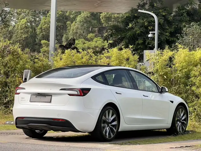 Model 3 2023 Model Rear-wheel drive version – фото 6