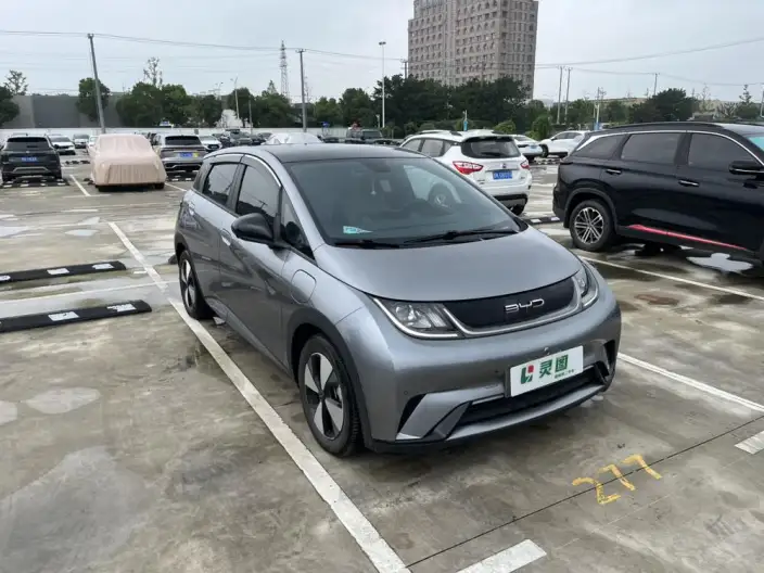 BYD Dolphin 2023 Model Fashion Edition – фото 3