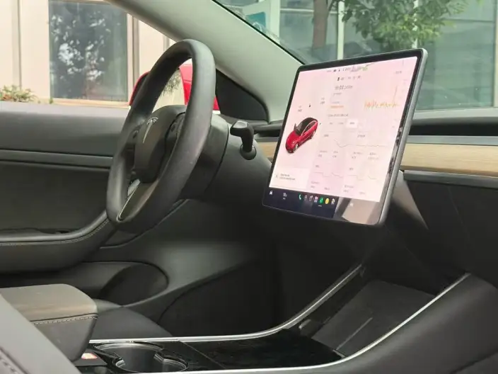 Model 3 2020 Model Standard Battery Life Rear Drive L Class Edition – фото 5