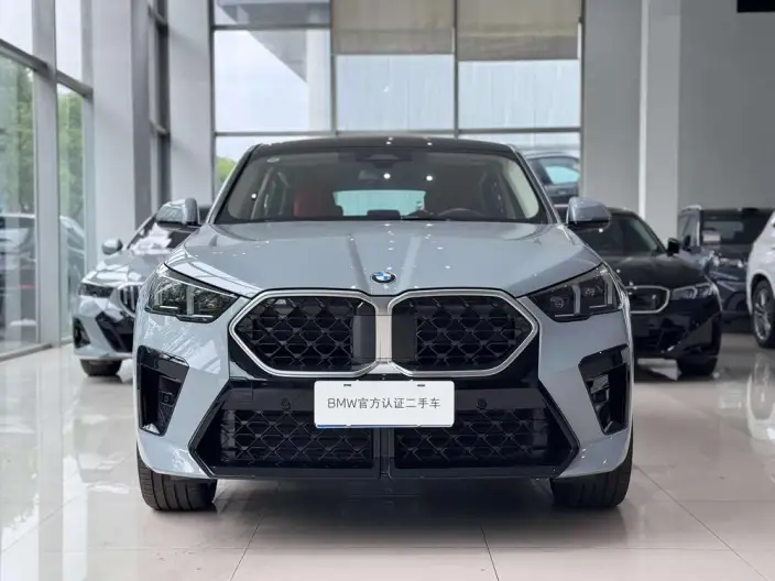 BMW X2 Imported 2024 Model sDrive25i M Sports Set – фото 2