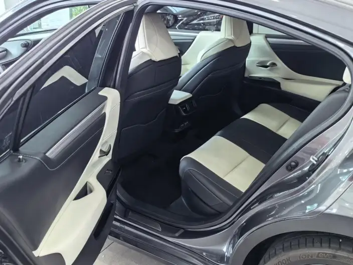 Lexus ES 2021 Model 300h F SPORT – фото 10
