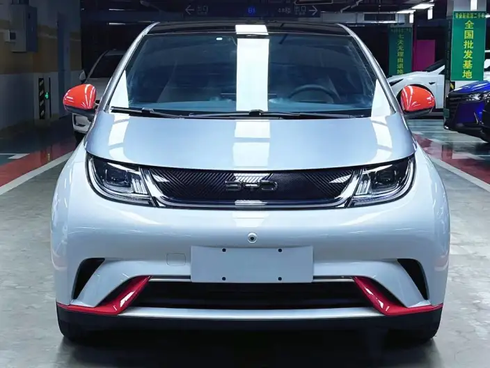 BYD Dolphin 2021 Model Fashion Edition – фото 2