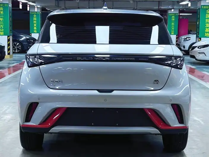 BYD Dolphin 2021 Model Fashion Edition – фото 5