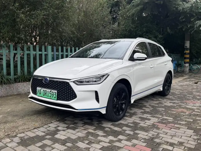 BYD E2 2020 Model L Class Edition Standard battery life version Comfort Model – фото 1
