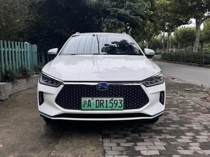 BYD E2 2020 Model L Class Edition Standard battery life version Comfort Model – фото 2