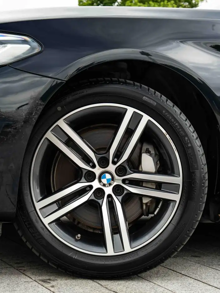 BMW 5 Series 2022 Model Facelift II 530Li Leading Model Luxury Set – фото 9