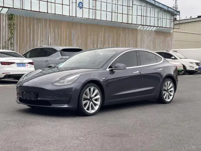 Model 3 2020 Model Facelift Long Battery Life Pro Rear-wheel drive version – фото 1