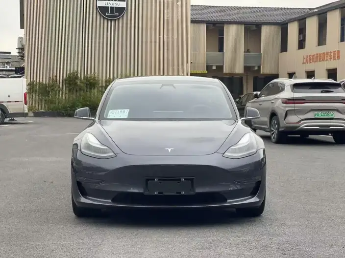 Model 3 2020 Model Facelift Long Battery Life Pro Rear-wheel drive version – фото 2