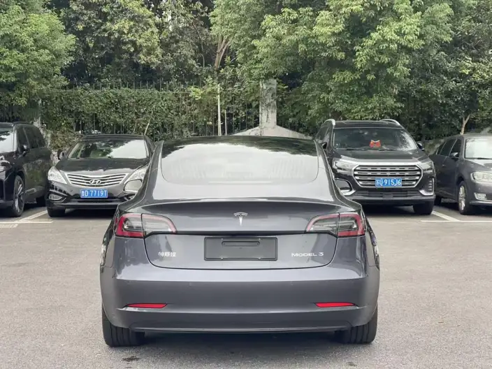 Model 3 2020 Model Facelift Long Battery Life Pro Rear-wheel drive version – фото 5