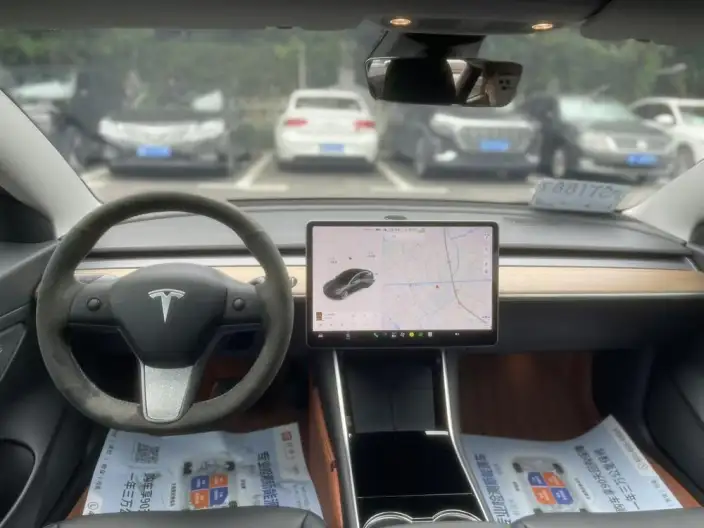 Model 3 2020 Model Facelift Long Battery Life Pro Rear-wheel drive version – фото 8