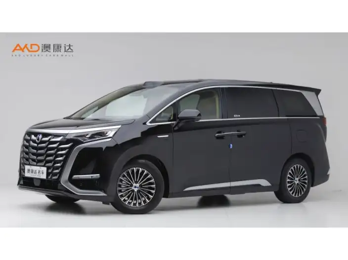 DENZA D9 DM 2025 Model Smart Driving Edition 1020 4WD Flagship Model – фото 1