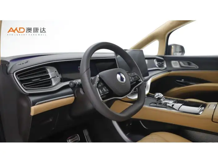 DENZA D9 DM 2025 Model Smart Driving Edition 1020 4WD Flagship Model – фото 6