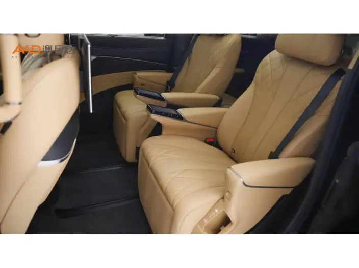 DENZA D9 DM 2025 Model Smart Driving Edition 1020 4WD Flagship Model – фото 8