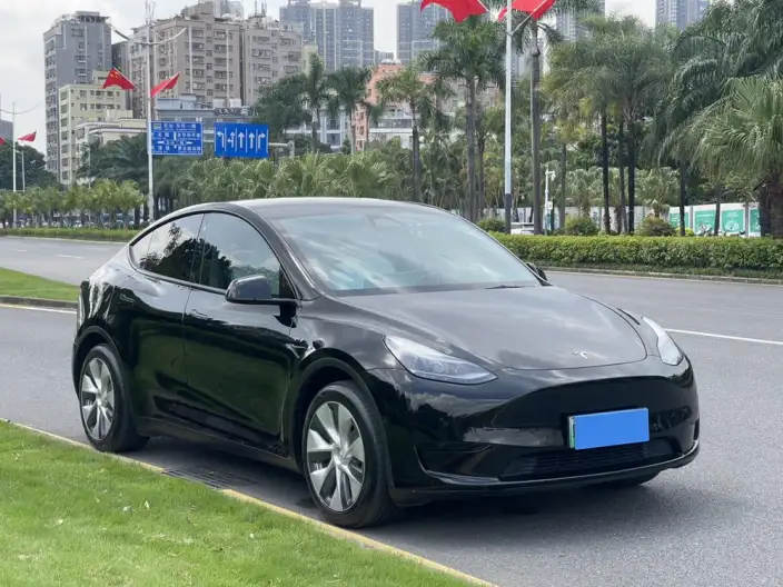 Model Y 2022 Model Facelift Rear-wheel drive version – фото 3