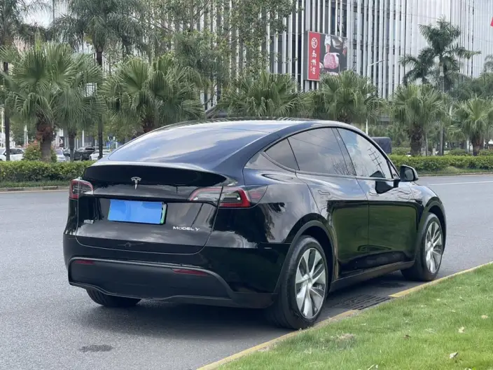 Model Y 2022 Model Facelift Rear-wheel drive version – фото 6