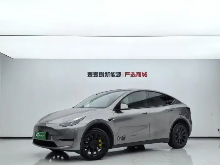 Model Y 2022 Model Rear-wheel drive version – фото 10