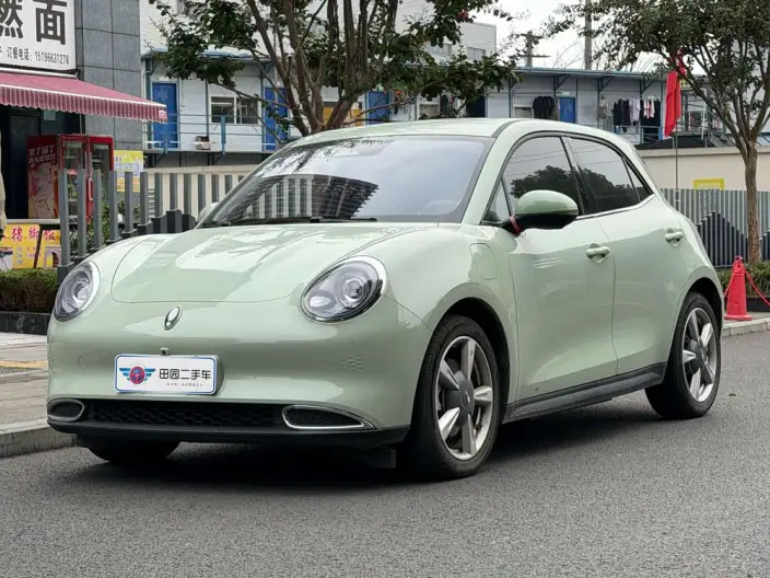 ORA Good Cat 2023 Model 401km Standard Battery Life Zunrong Model Lithium Iron Phosphate – фото 1