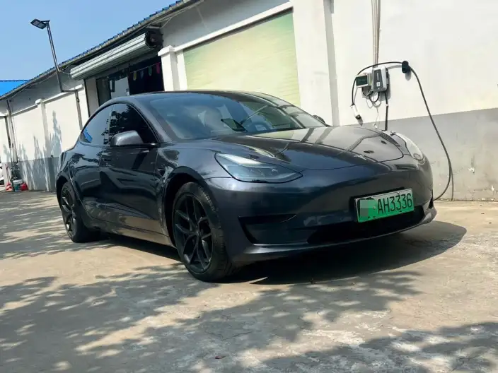 Model 3 2021 Model Standard Battery Life Rear Drive L Class Edition – фото 3