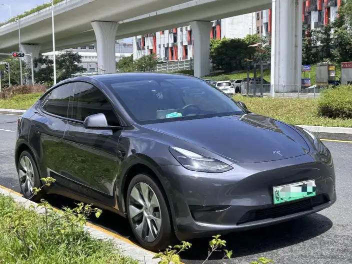 Model Y 2022 Model Rear-wheel drive version – фото 3