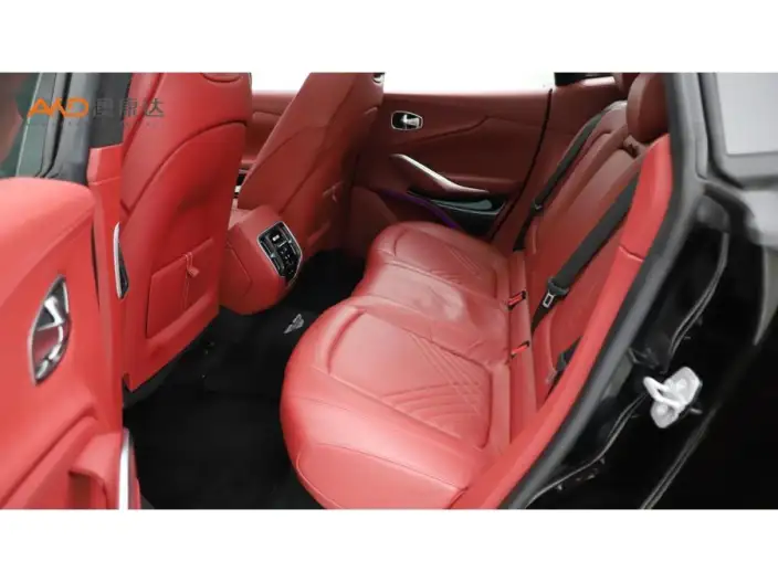 Aston Martin DBX 2022 Model 3.0T STRAIGHT SIX – фото 8