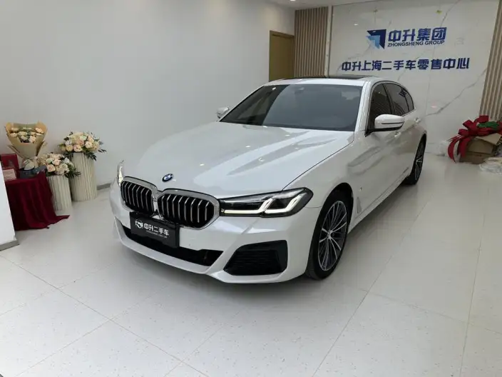BMW 5 Series 2021 Model 530Li Leading Model M Sports Set – фото 1