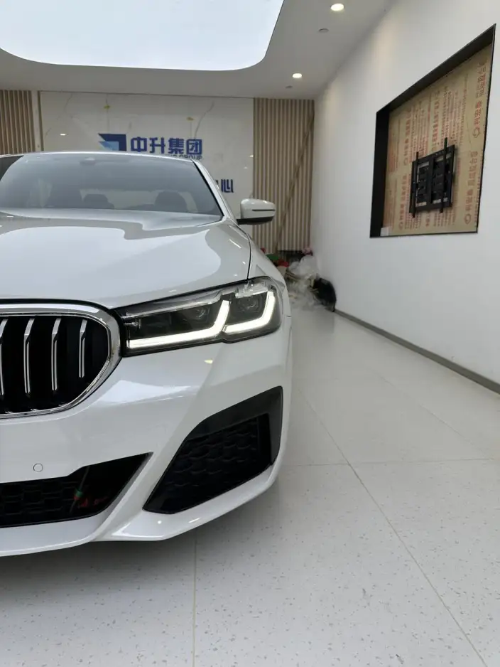 BMW 5 Series 2021 Model 530Li Leading Model M Sports Set – фото 7
