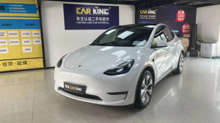 Model Y 2021 Model Standard Battery Life Rear-wheel drive version – фото 1