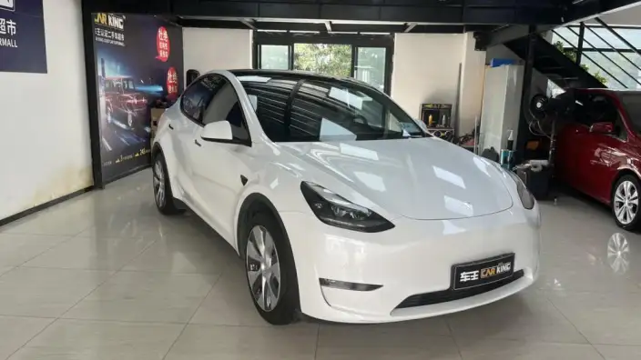 Model Y 2021 Model Standard Battery Life Rear-wheel drive version – фото 2