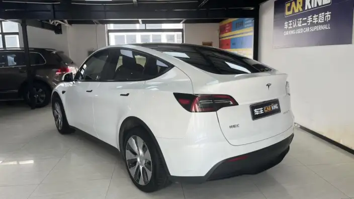 Model Y 2021 Model Standard Battery Life Rear-wheel drive version – фото 3
