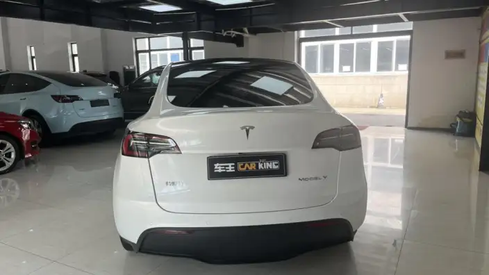 Model Y 2021 Model Standard Battery Life Rear-wheel drive version – фото 4