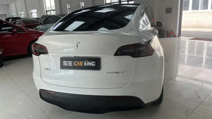 Model Y 2021 Model Standard Battery Life Rear-wheel drive version – фото 5