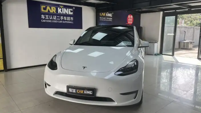 Model Y 2021 Model Standard Battery Life Rear-wheel drive version – фото 6