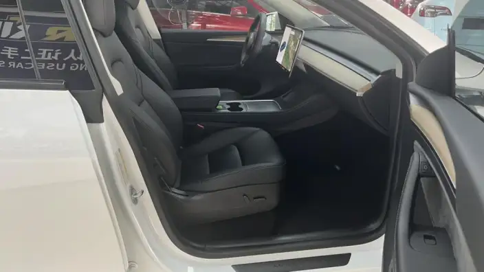 Model Y 2021 Model Standard Battery Life Rear-wheel drive version – фото 8