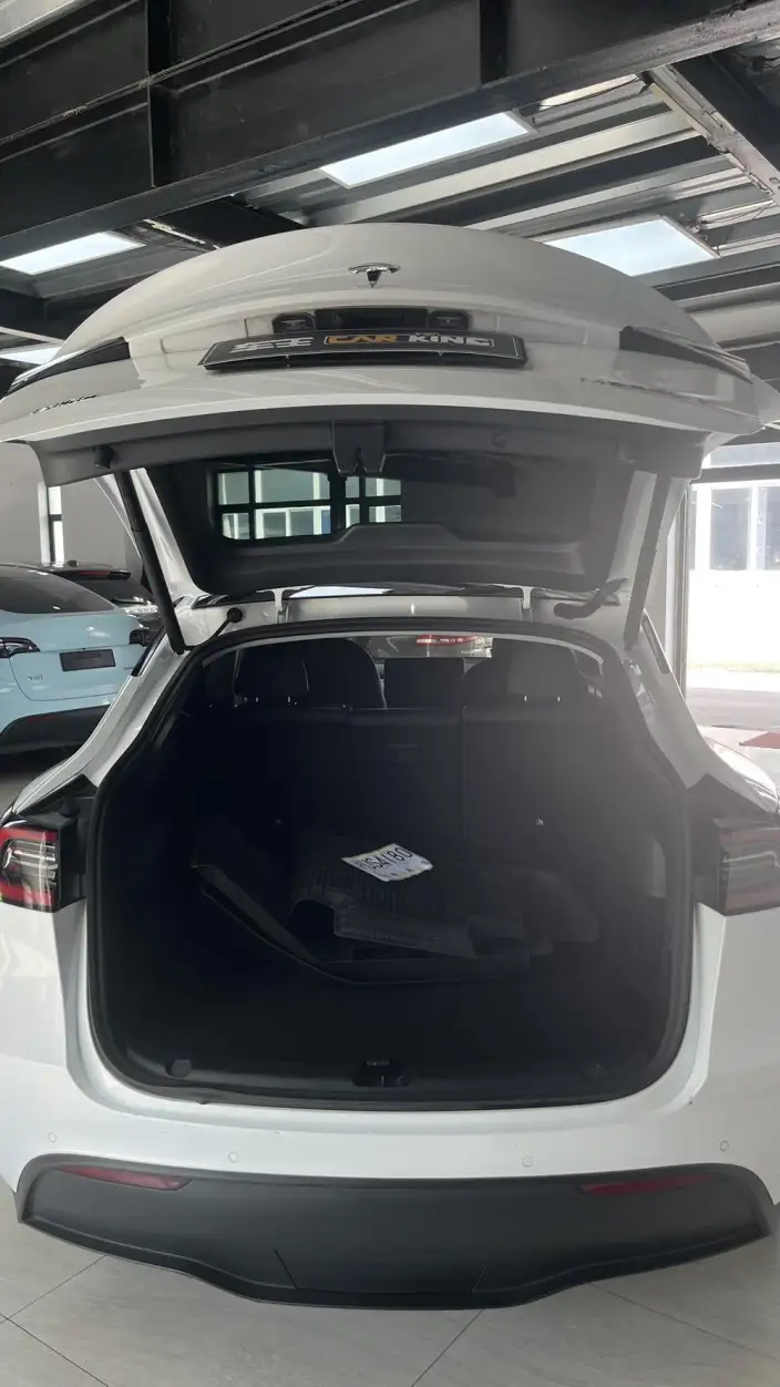 Model Y 2021 Model Standard Battery Life Rear-wheel drive version – фото 9