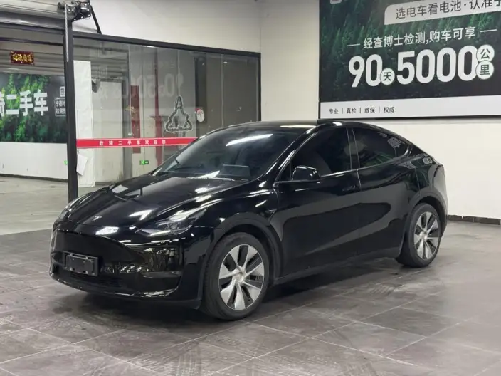 Model Y 2021 Model Long Battery Life Pro All-wheel drive version – фото 1